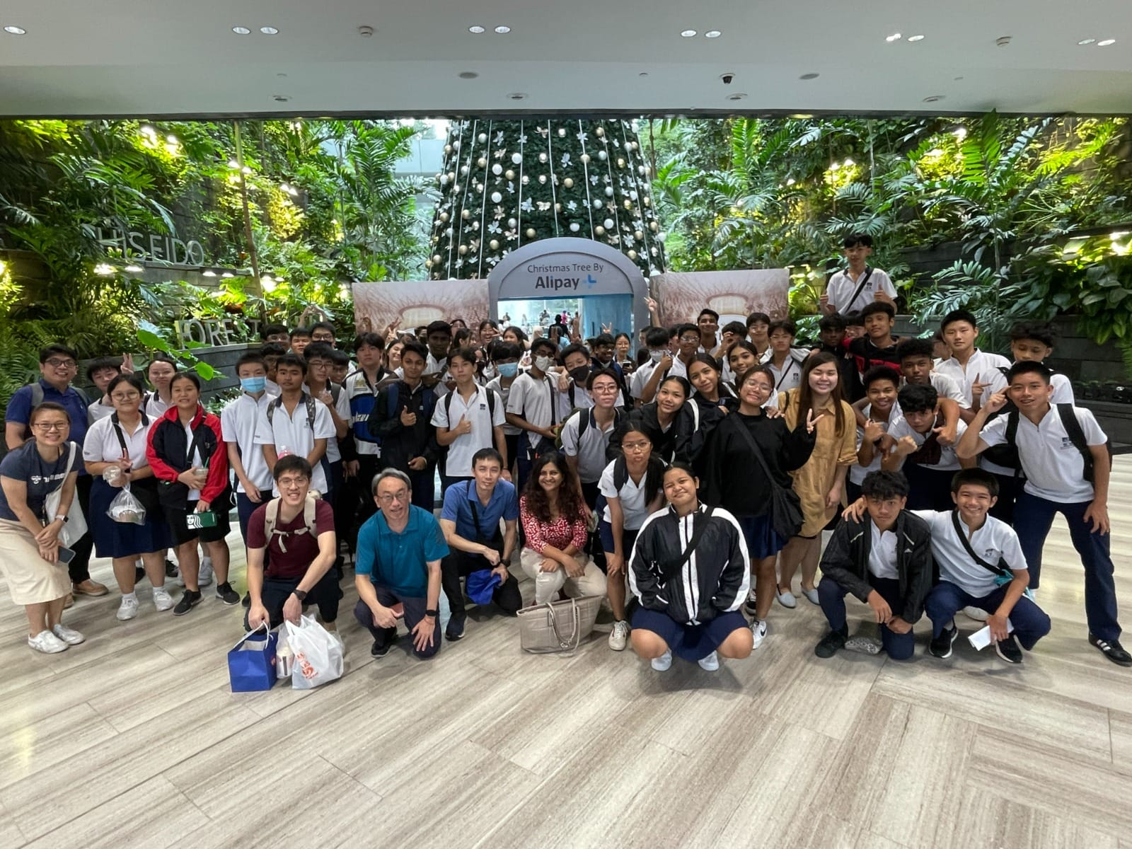 Large group of students and teachers posing in front of an Alipay Christmas tree display surrounded by lush greenery indoors.